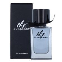 Burberry - Mr. Burberry EDT 100ml