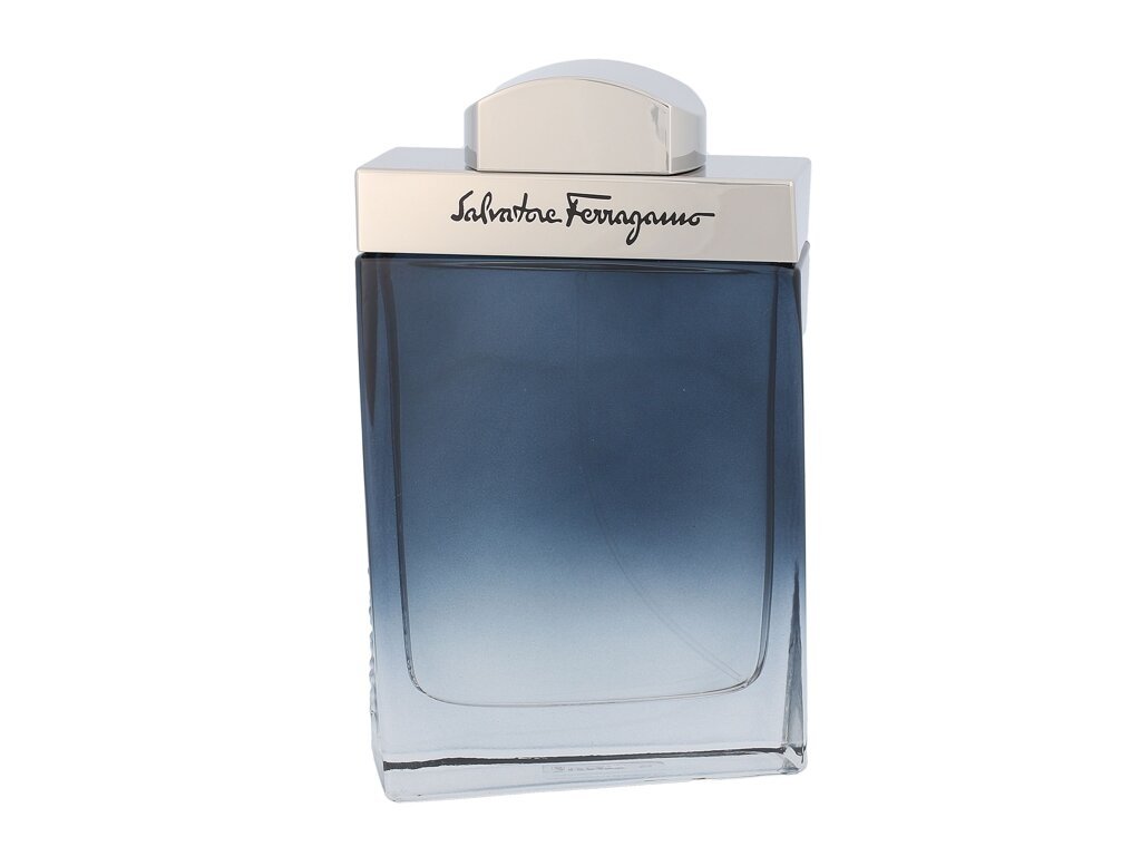 Salvatore Ferragamo - Subtil Pour Homme - For Men, 100 ml