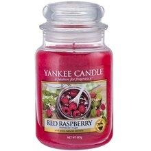 Yankee Candle - Red Raspberry Candle - Raspberry Candle 104.0g